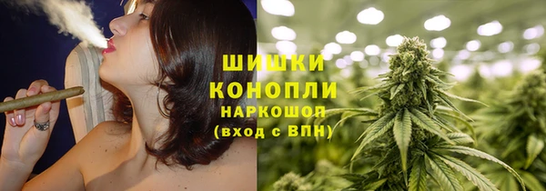 Альфа ПВП Аркадак