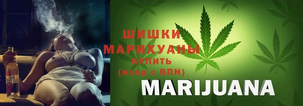 Альфа ПВП Аркадак