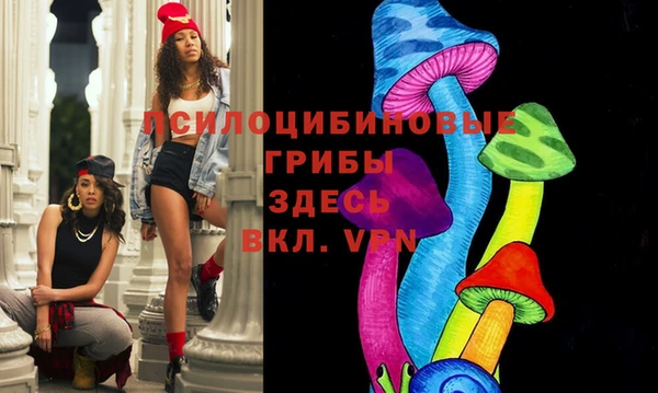 меф Пересвет