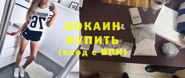 Альфа ПВП Аркадак
