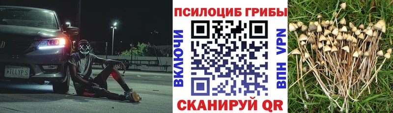 как найти закладки  Тейково  Галлюциногенные грибы мухоморы 